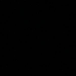 Meet your Posher, Ronnie